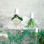 Sky Planters by Boskki to purify stale air by dangling upside down