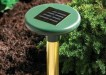 Sustainable gadgets for your garden