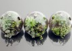 Terrarium