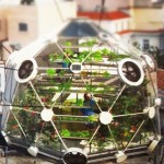 Re embark the urban farming sustainably with GLOBE Hedron!