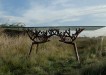 Tree-inspired tables