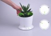 Trendy flower pot
