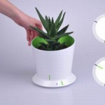 10 trendy flower pots for indoor and outdoor gardening