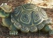 Turtle  Sculpture