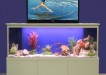 TV Tank