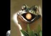 Unique doorbells