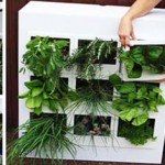 Striking home farming concepts to grow your own food