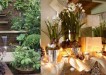 Vines and shrubs for Fall