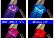 led shower