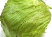lettuce 5