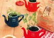 petitcocogrow 700 PJ1y4 1333