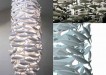 shoal 1