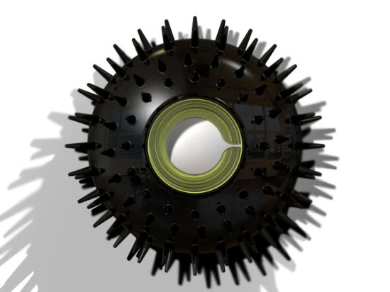 anemone1 anemone1