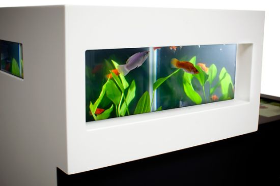 archiquarium1 archiquarium1