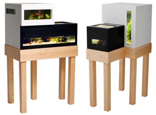 archiquarium2 archiquarium2