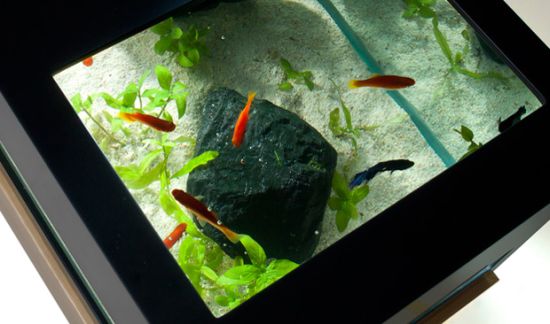 archiquarium3 archiquarium3