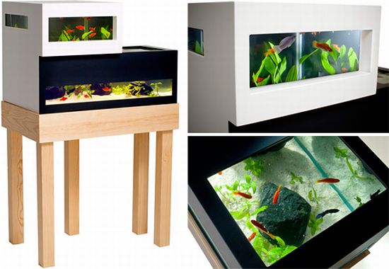 archiquarium archiquarium