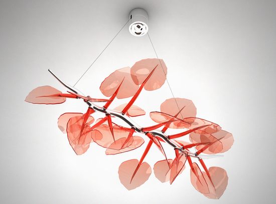 canopy chandelier5