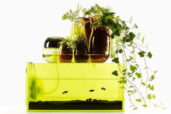 domesticponds01