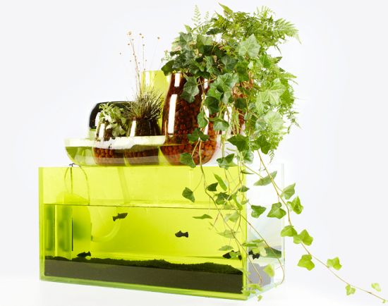 domesticponds02