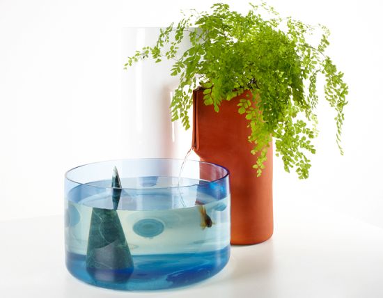 domesticponds05