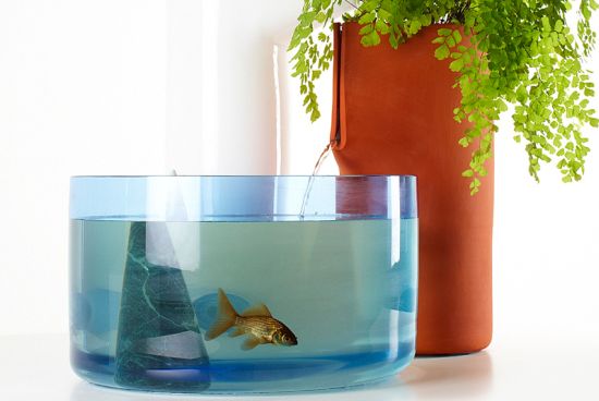 domesticponds06