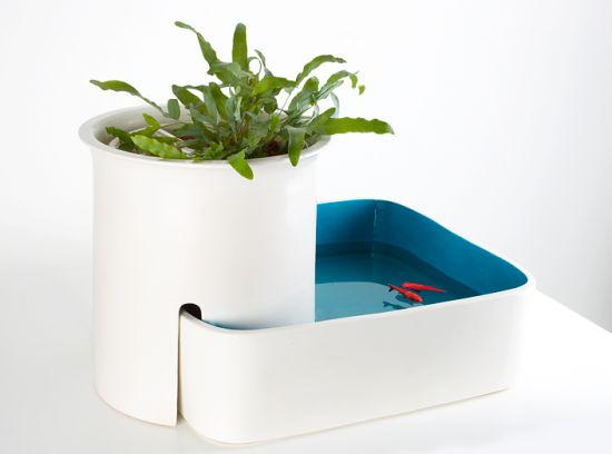 domesticponds07