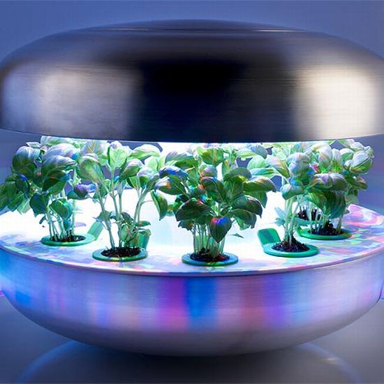 growing units2 growing units2