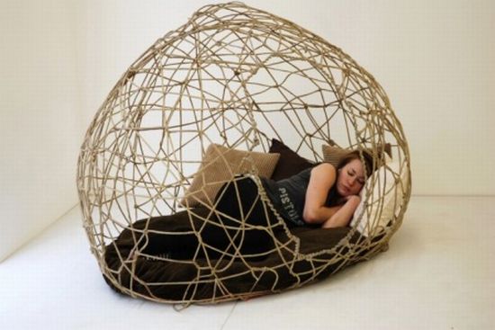 hibernate