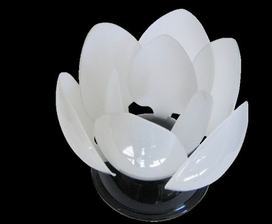 nymphaea lamp