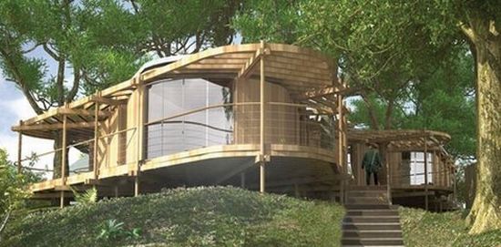 tree house ready tree house ready