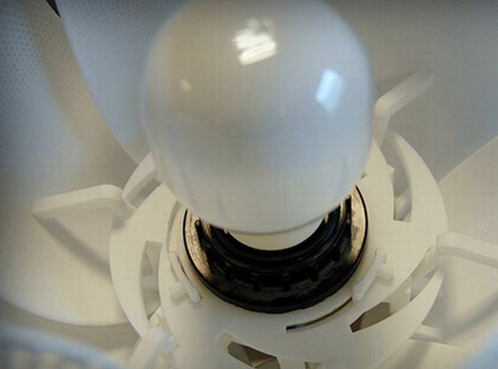 tulipk lamp1