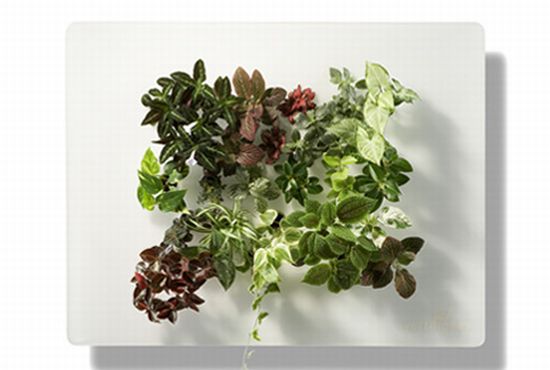 vegetal screen diva2 vegetal screen diva2