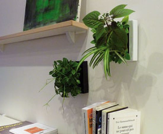vegetal screen diva5