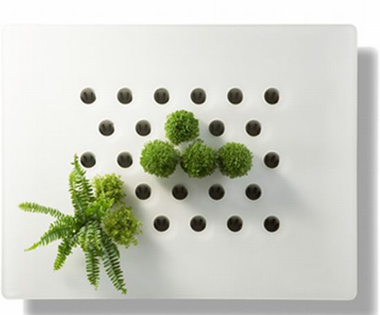 vegetal screen diva vegetal screen diva