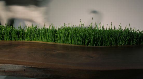 wettstein table1