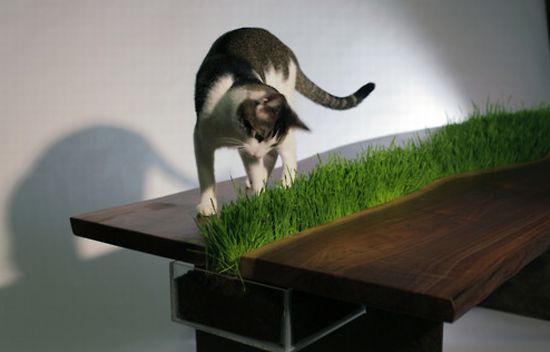 wettstein table3