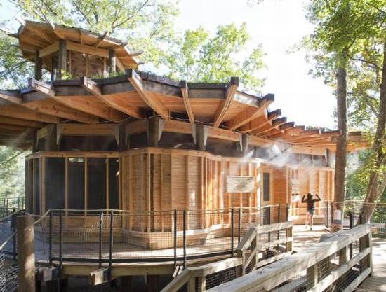 wild side treehouse1 wild side treehouse1